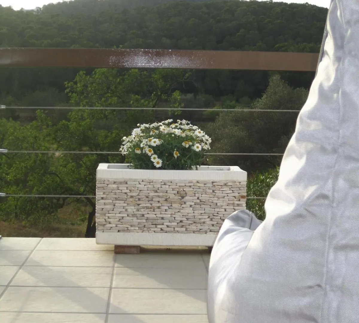 Villa Sa Tanca Den Marines Etv 1272 E à Sant Carles de Peralta Espagne