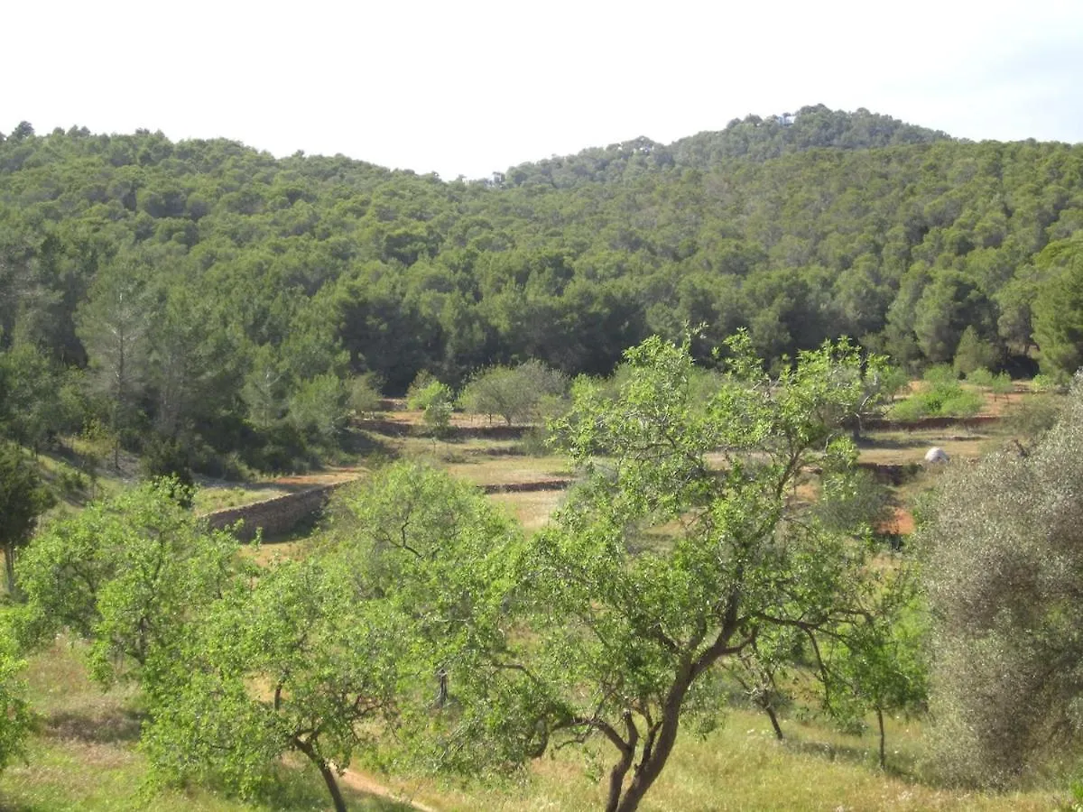 Hébergement de vacances Villa Sa Tanca Den Marines Etv 1272 E à Sant Carles de Peralta