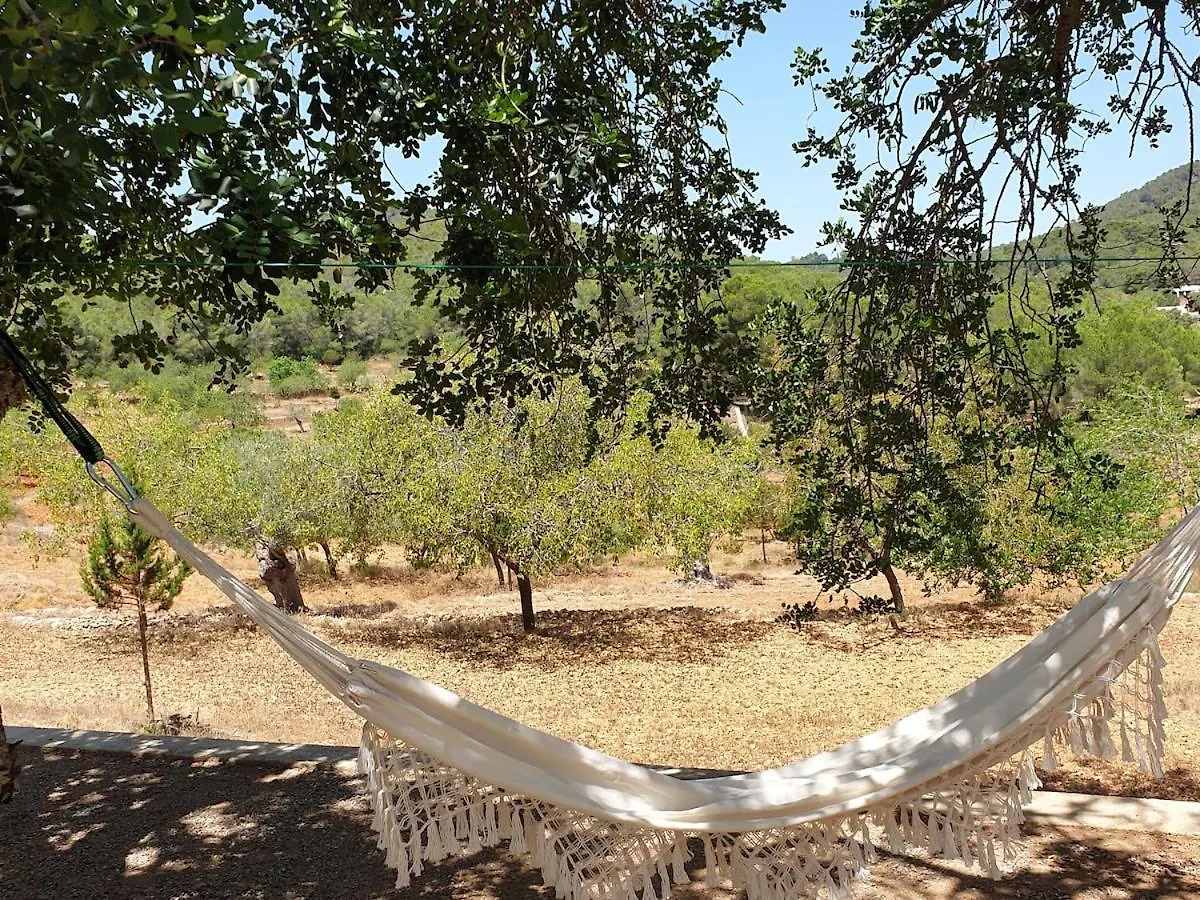 Hébergement de vacances Villa Sa Tanca Den Marines Etv 1272 E à Sant Carles de Peralta Espagne